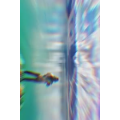 风景合集4960