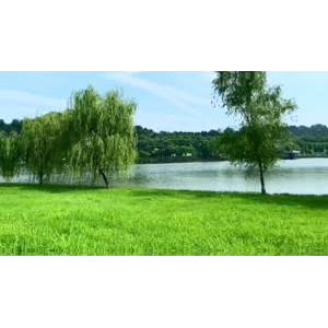 风景合集4972