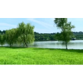 风景合集4972