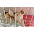 风景合集4974