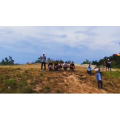 风景合集4975