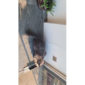 风景合集4999