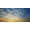 风景合集5025