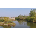 风景合集5032