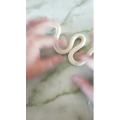 面食艺术287