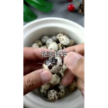 家常菜教程207