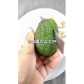 家常菜教程220