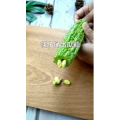 家常菜教程224