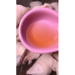 美食制作974