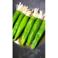 美食制作978