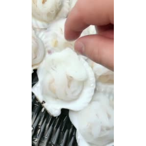 美食制作988