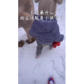 美食制作1046