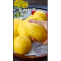 美食制作1241