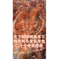 熟食20