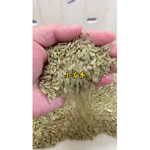 熟食26