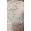 凉皮肉夹馍52