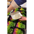 凉皮肉夹馍129