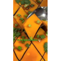 凉皮肉夹馍134