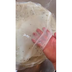 凉皮肉夹馍197
