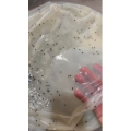 凉皮肉夹馍225