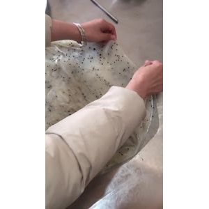 凉皮肉夹馍240