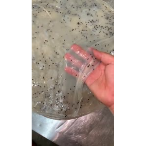凉皮肉夹馍245