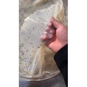 凉皮肉夹馍264