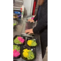 凉皮肉夹馍312