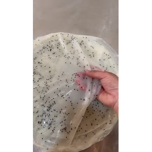 凉皮肉夹馍327