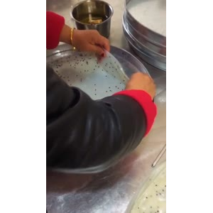 凉皮肉夹馍332