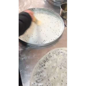 凉皮肉夹馍376