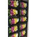凉皮肉夹馍382