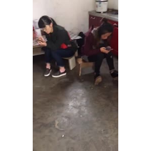 凉皮肉夹馍404