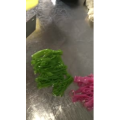 凉皮肉夹馍441