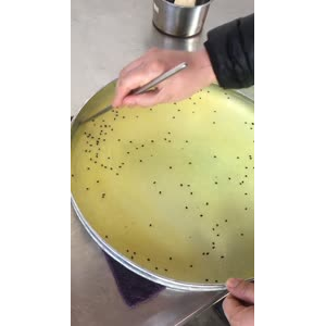 凉皮肉夹馍496