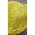 凉皮肉夹馍508