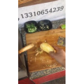 凉皮肉夹馍521