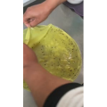 凉皮肉夹馍796