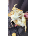 凉皮肉夹馍799