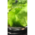 美食制作1582
