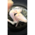 美食制作1706