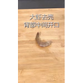 美食制作1983