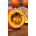 美食制作1989