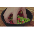 美食制作2043