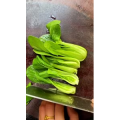 美食制作2066