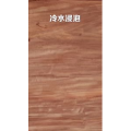 美食制作2137