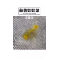 美食制作2507