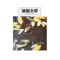 美食制作2584