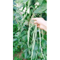 烘焙糕点286
