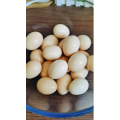 烘焙糕点298